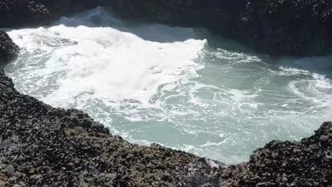 Aim to visit this spot on the Oregon Coast 30 minutes before peak high tide!