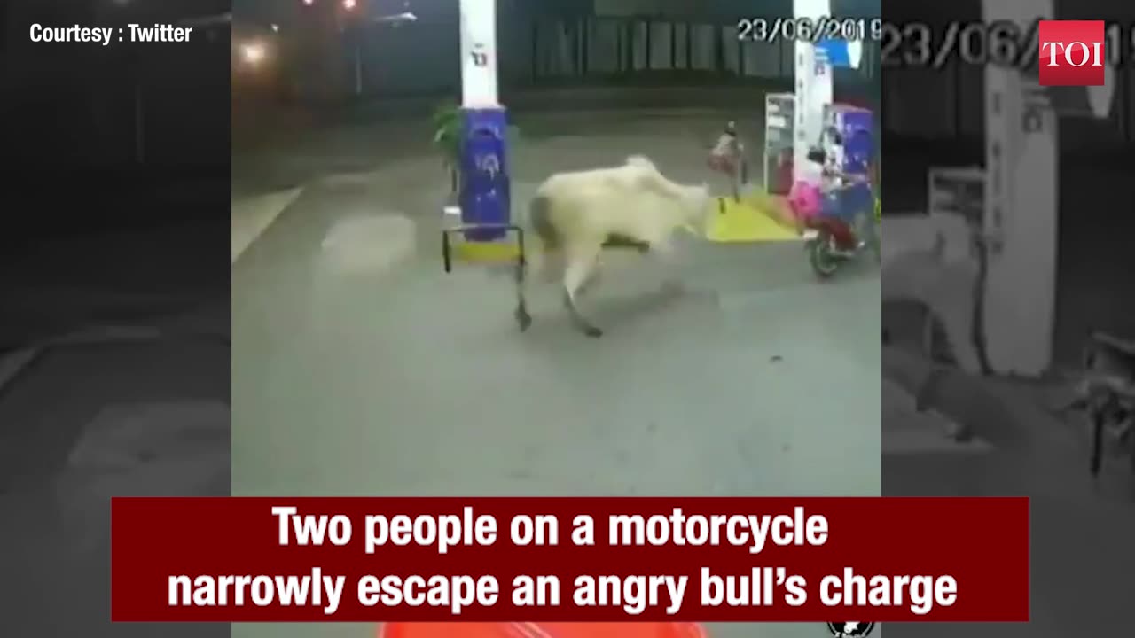 Riders vs. Bull: A Close Encounter