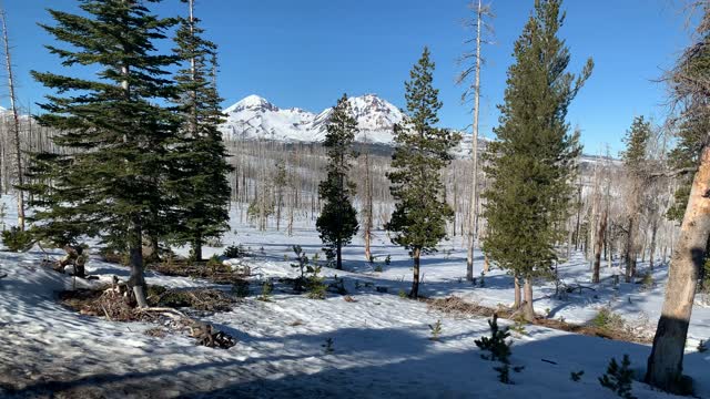 Outside of Jeff View Log Cabin Shelter – Deschutes National Forest – Central Oregon – 4K