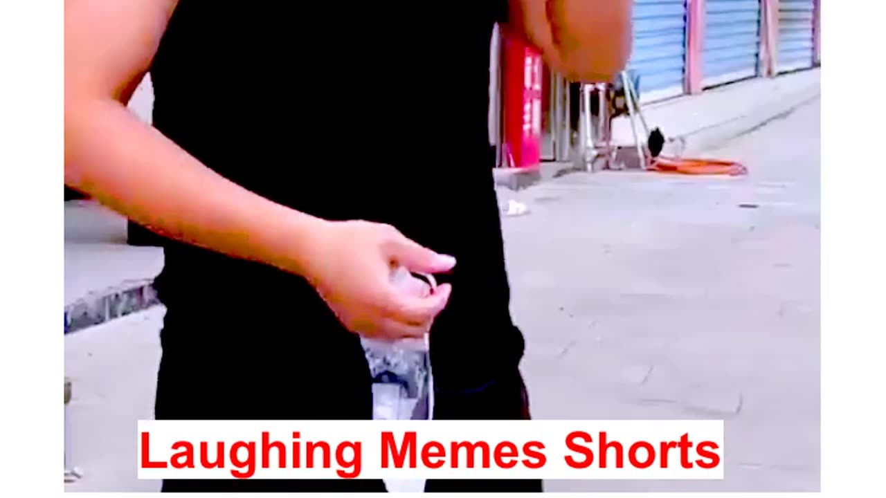 laughing video zias memes video viral video