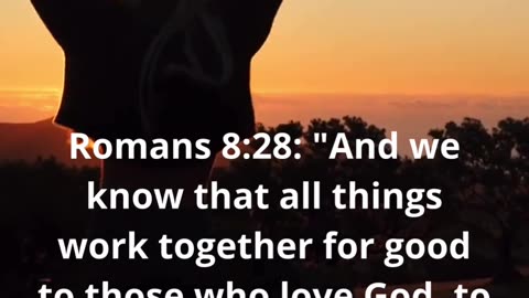 Bible Verse Romans 8:28