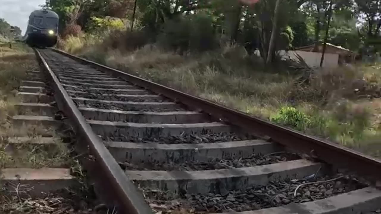 Train VS Cabbage