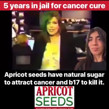 Apricot Seeds