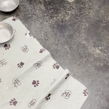 We feed a balanced raw diet