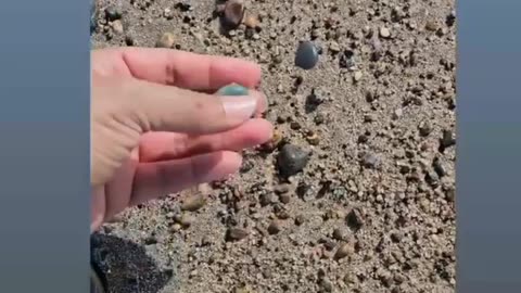 The ocean gift 🎁