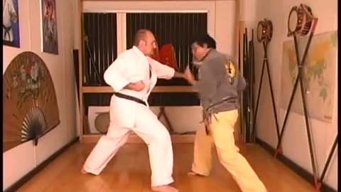 Shorin Ryu Karate