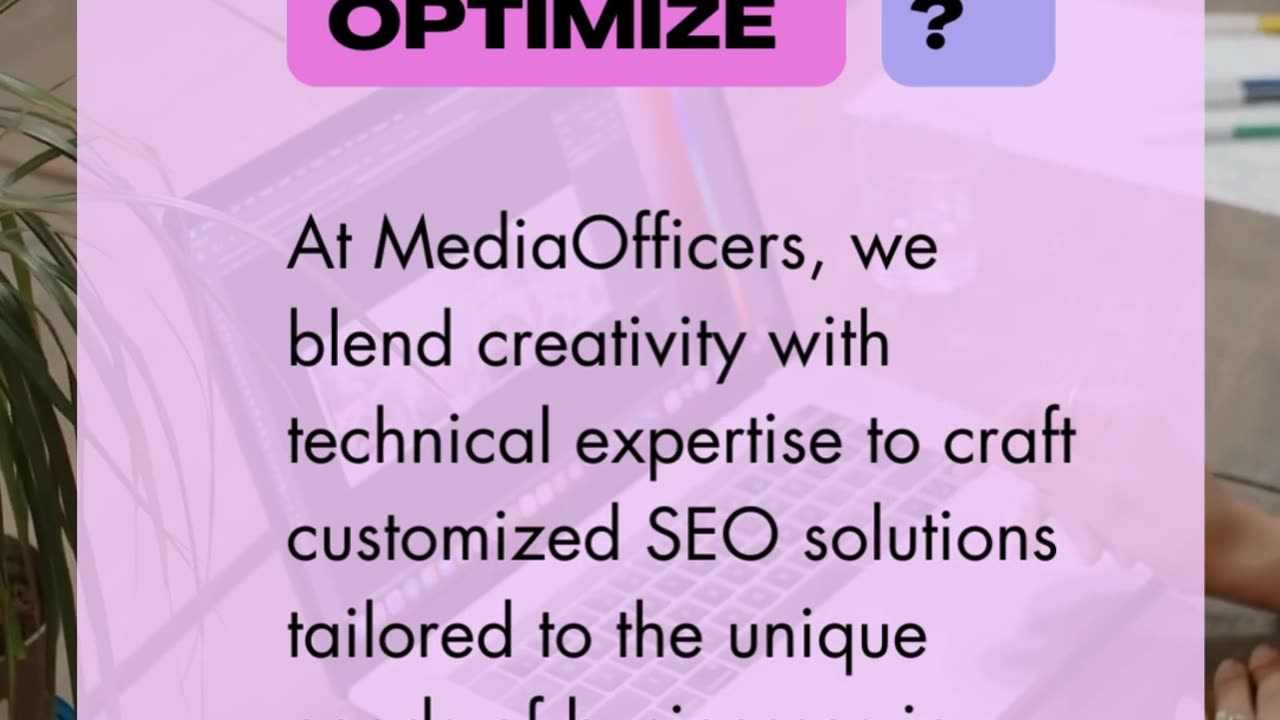 SEO Company in Chandigarh