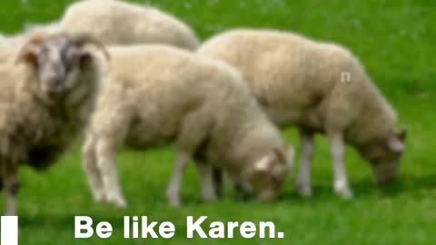 Beeee like Karen!