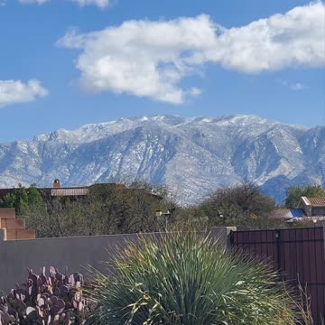 A Winter Morning in Tucson