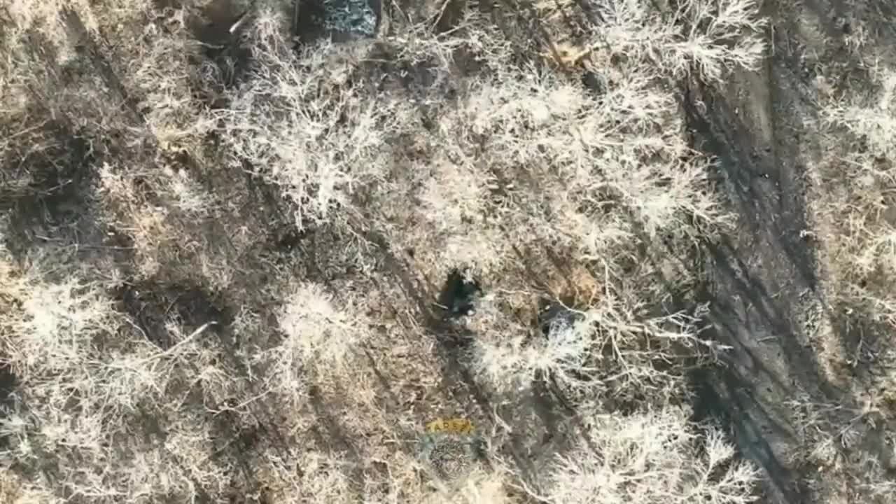 Dropping Bombs on Russian Soldiers
