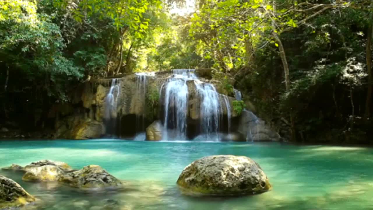Relaxing Music | Sleeping, Meditation, Stress Relief | [1036] ⭐️