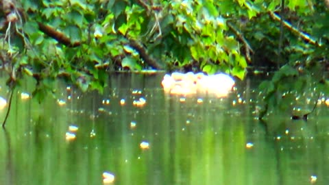River Foam
