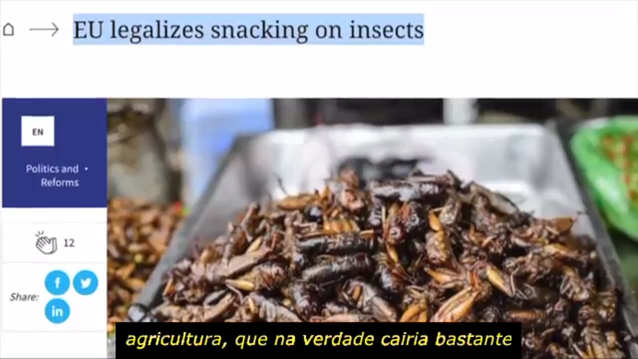 Nova política da UE coloca mais pressão sobre os agricultores holandeses...