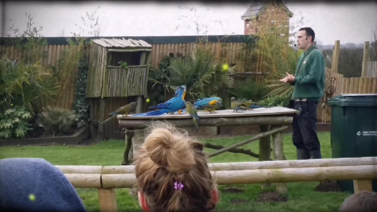 April 2016 Gabrielle's birthday, Woodside Wildlife park part 2