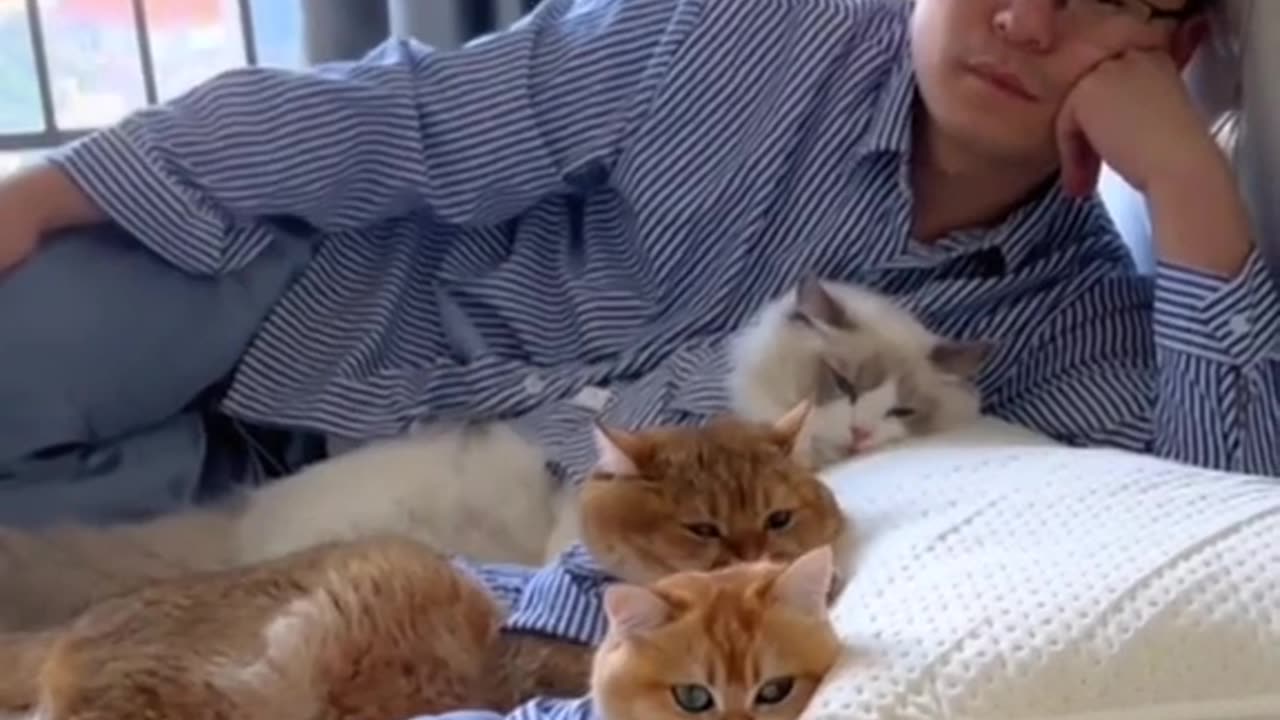 New Funny Animals, Funniest Cats and Dogs Videos 81