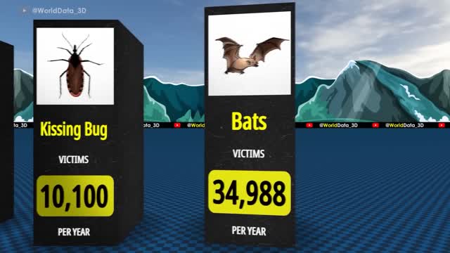 Deadliest Animals 3D Comparison