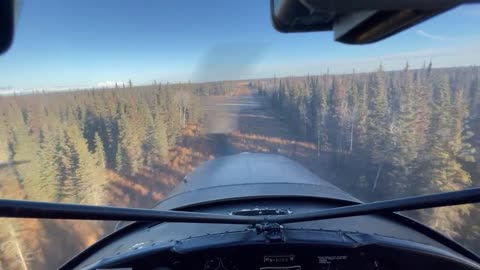 Cessna 170B Landing on Grass Strip in Kenai Alaska