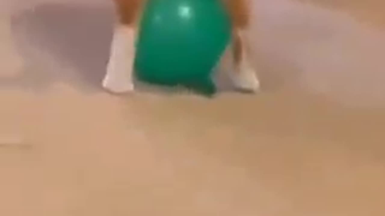 Funniest cats and dogs😺🐶