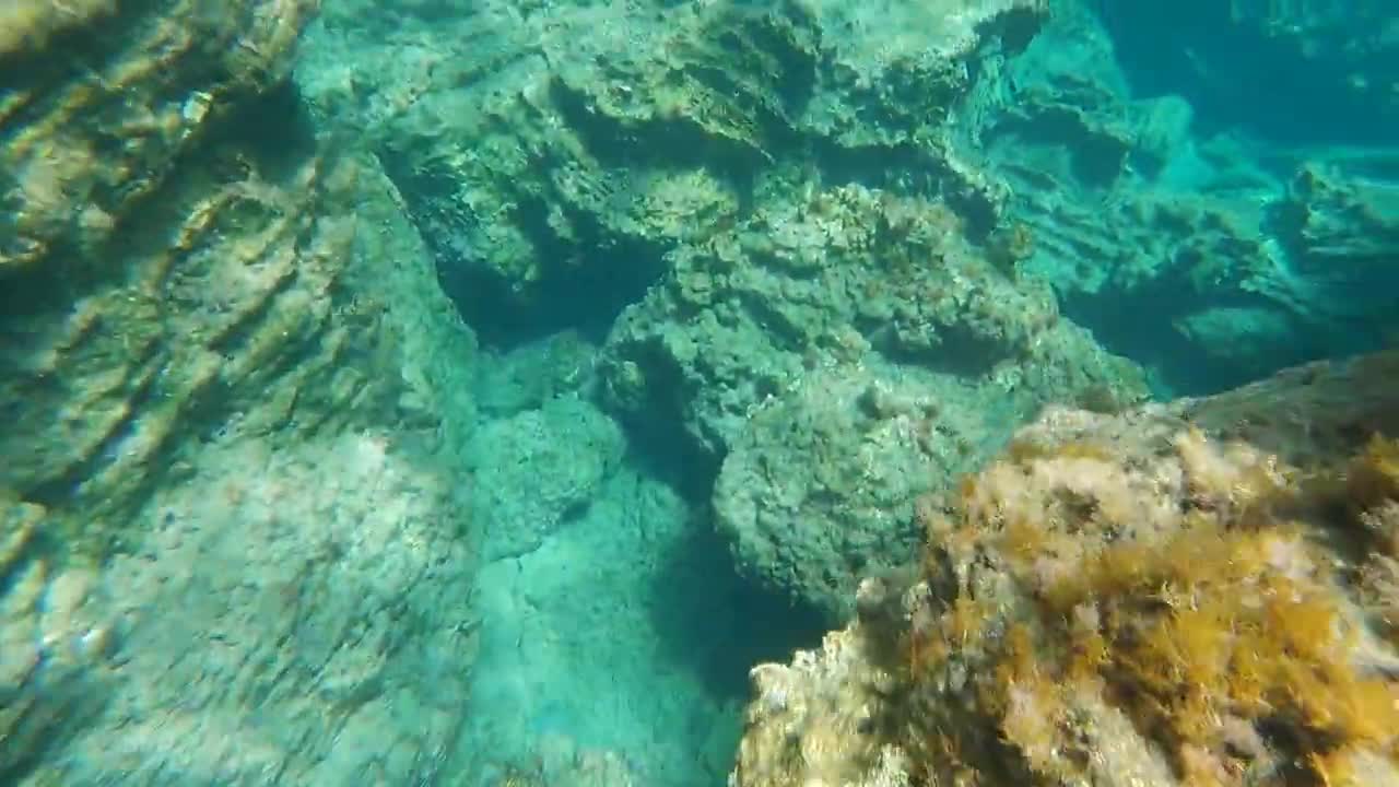 Sifnos Underwater, Greece (The Secret Life of the Aegean Sea)