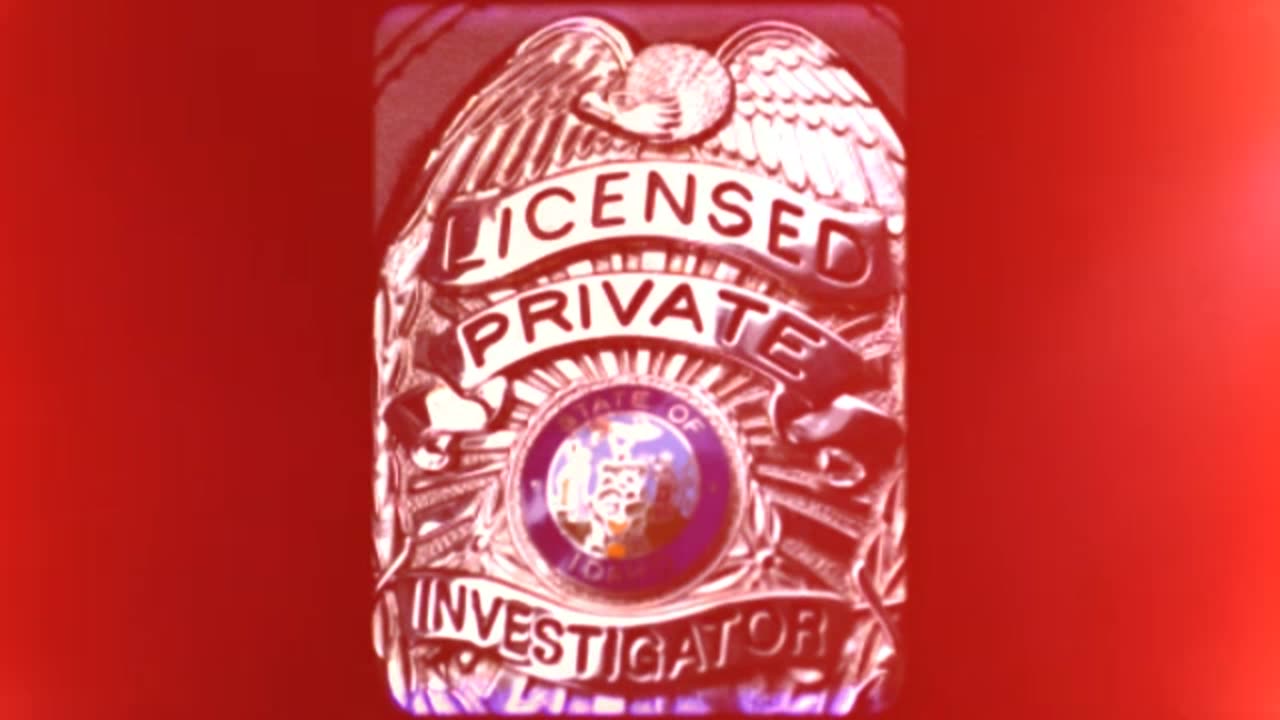 Private Investigator