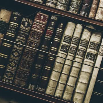 新聞美語 每日一字 Sequel