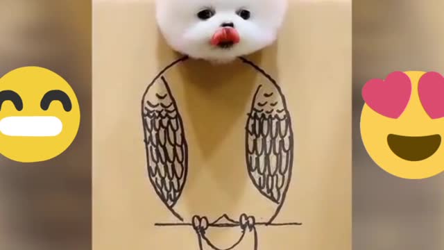 Fun dogs doing funny things in 2021