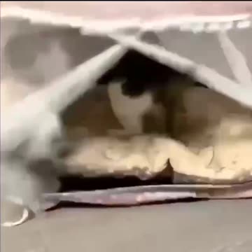 Landlord using illegal eviction tactics 😱