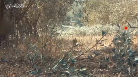 War in Israel Gaza