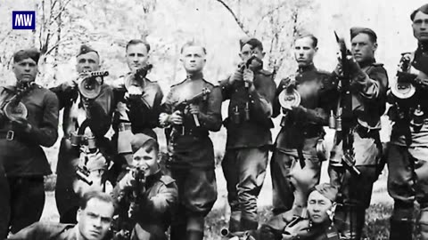 Ukrainian nationalists finances by the West