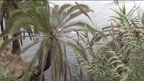 La Jolla's Secret Swing replaced after going missing