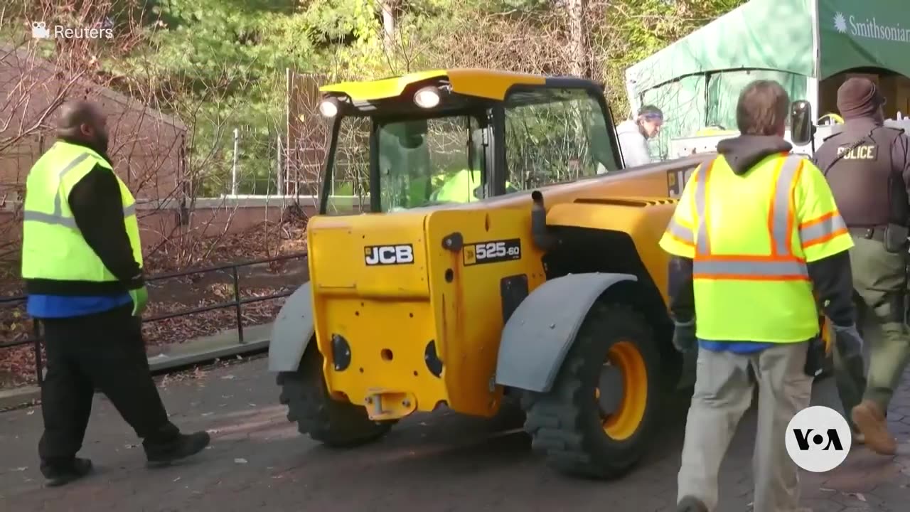 Giant Panda Trio Leaves Washington Zoo to Return to China | VOA News