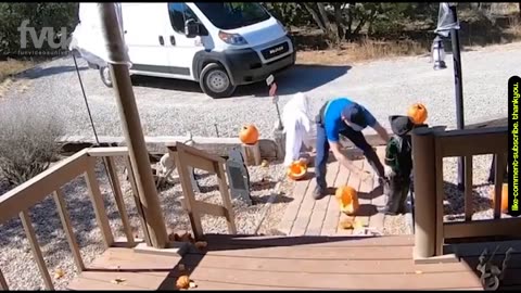 Funny Fails