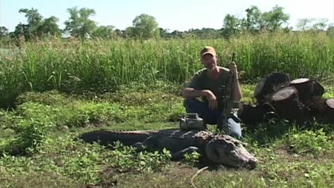 Hunting a 9 ft. Alligator!