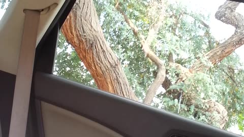 The Good Will Donation Center is .................