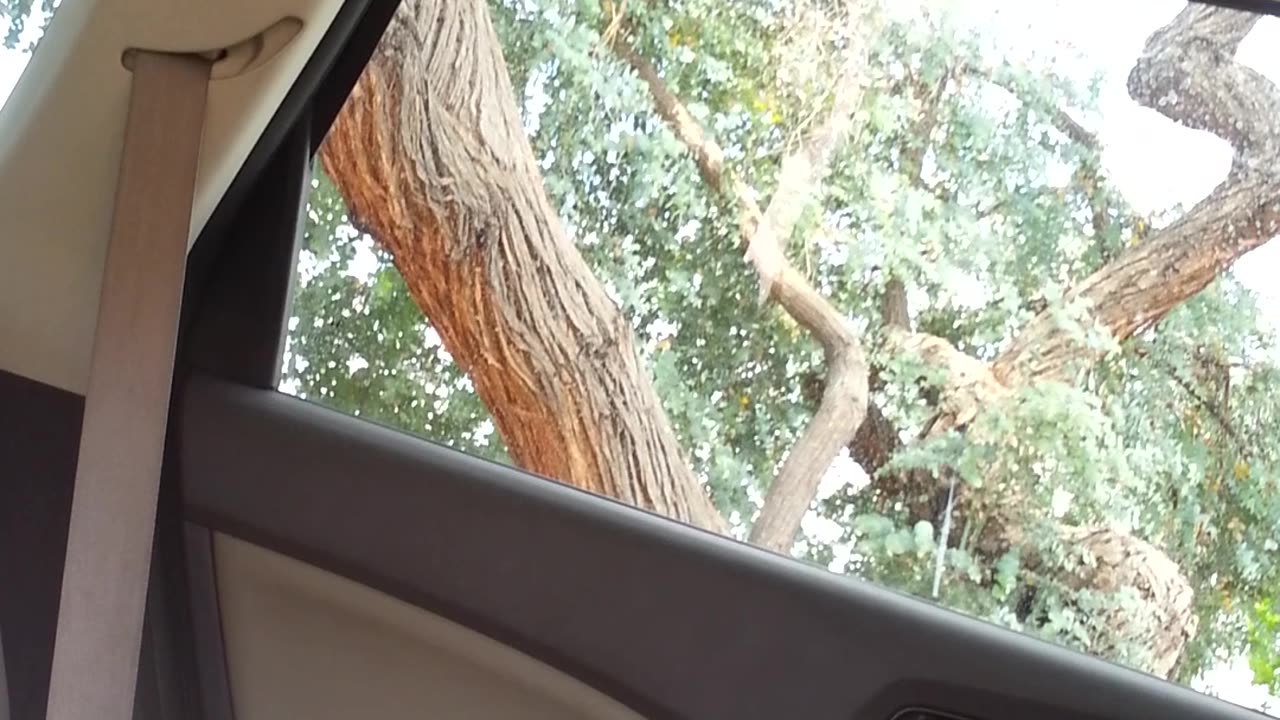 The Good Will Donation Center is .................