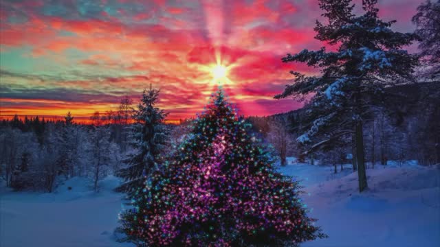 Beautiful Music & Song O Christmas Tree Vocals Jingle Punks , 8d Audio