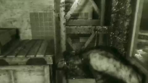 Scared tf out of me!!!