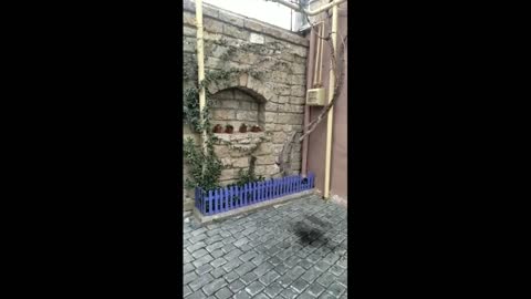 Relaxing Music | Sleeping, Meditation, Stress Relief | [6078] ⭐️