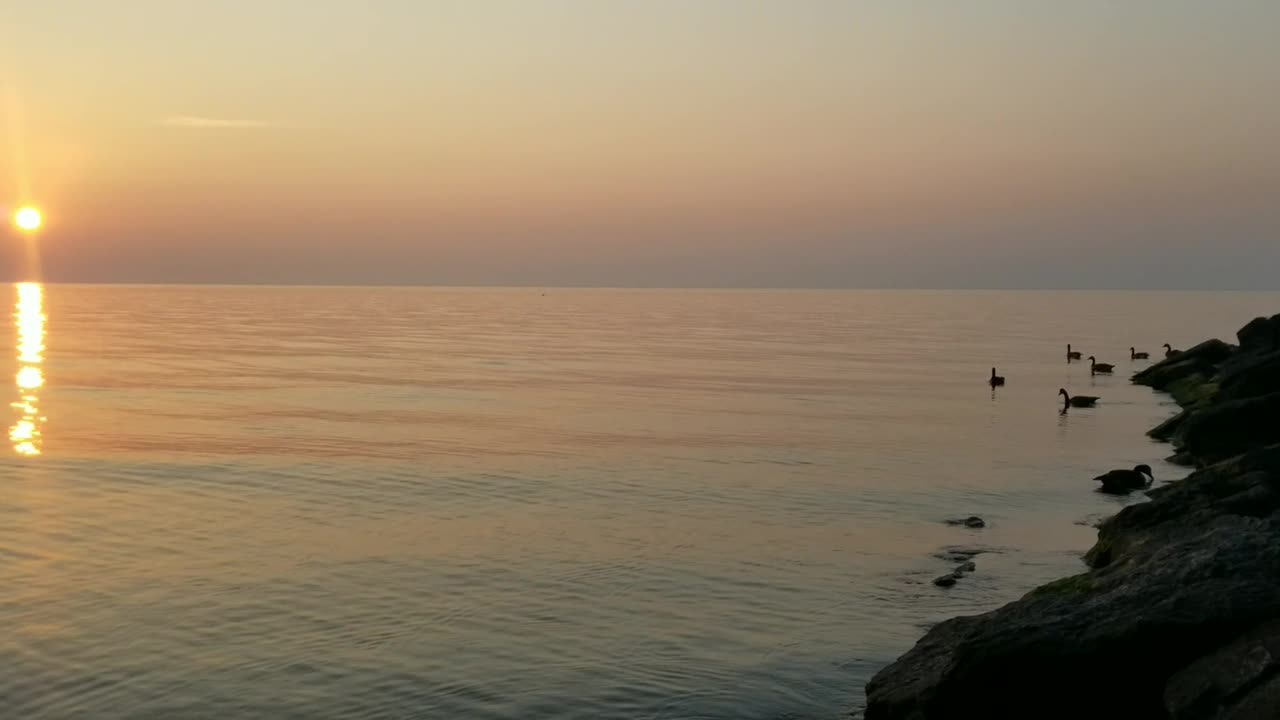 A pink Sunrise 🌞, A perfect way to start a day😍.At Jack Darling park, Mississauga.