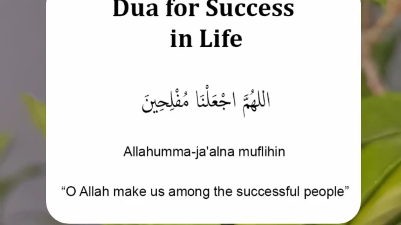 Dua for success in life😍😍