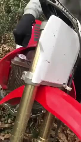 Where are the brains?