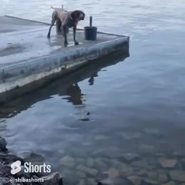 Sometimes You Just Need To Do Your Own Thing