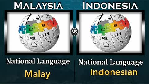 indonesia vs malaysia defens