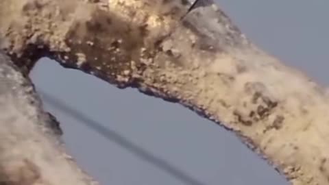 Ufologia