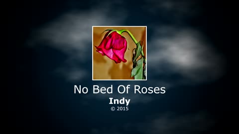 Indy - No Bed of Roses