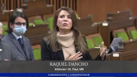 Rachel Dancho bringing some common sense and logic before Canadian hearing