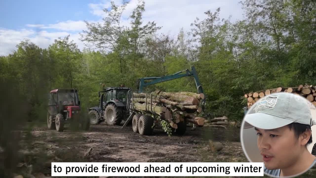 Daily HOT - Europe_ Firewood is the new gold_