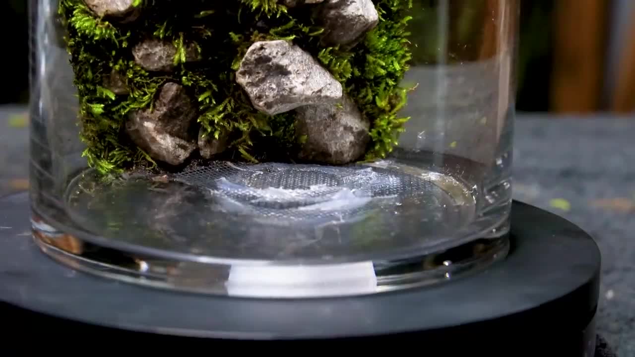 Flowing Waterfalls in a Small Jar (Moss Terrarium Build)