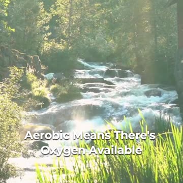 🌿 Understanding Aerobic Vs Anaerobic Environments! 🌬️