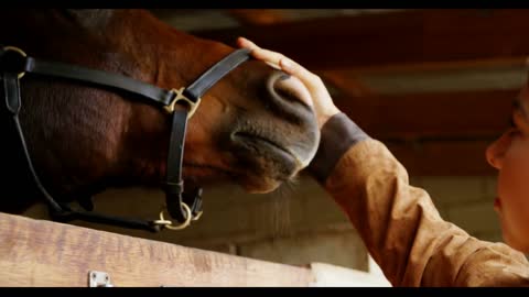 Woman stroking a horse in stable